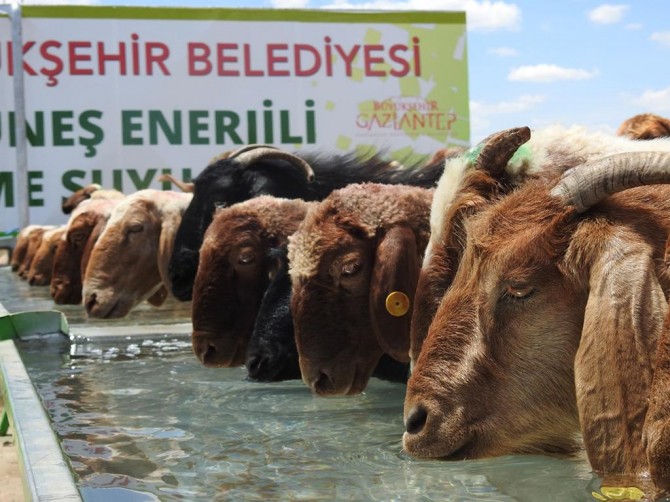 Gaziantep’te güneş enerjili içmesuyu projesi