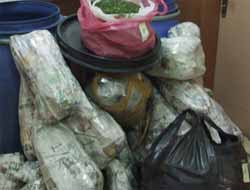 Bingöl'de 830 Kilo Esrar Ele Geçirildi