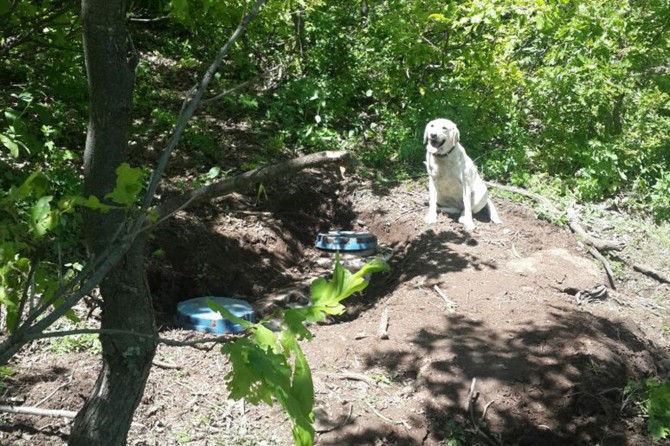 Bitlis’te bir ton el yapımı patlayıcı imha edildi