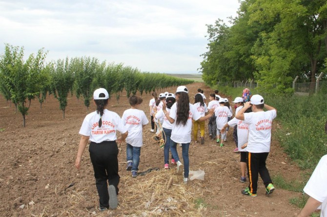 Çocuklar 'Lider Çocuk Tarım Kapmı'nda bir araya geldi