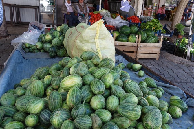 Şelengo sebzesi tezgâhlardaki yerini aldı