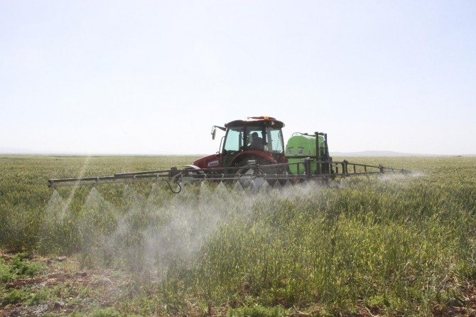 Süne ile mücadele sürüyor