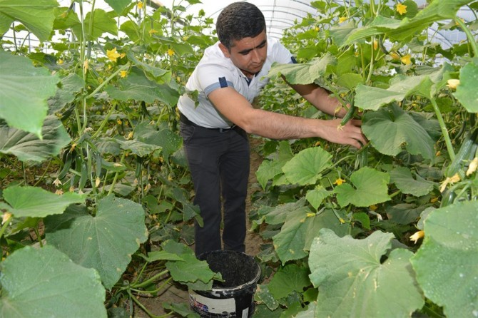 Bingöl’de 204 genç çiftçiye hibe desteği verilecek