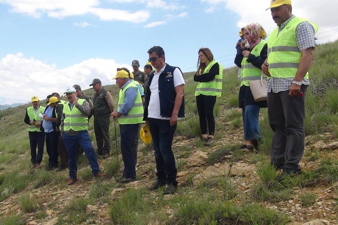 Adıyaman Çelikhan'da erozyona karşı bir milyon ağaç dikilecek