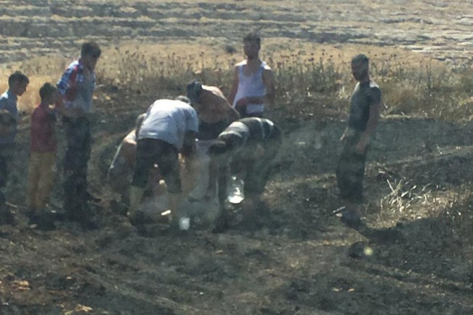 Mardin Kızıltepe'de yangın 50 dönüm buğdayı kül etti