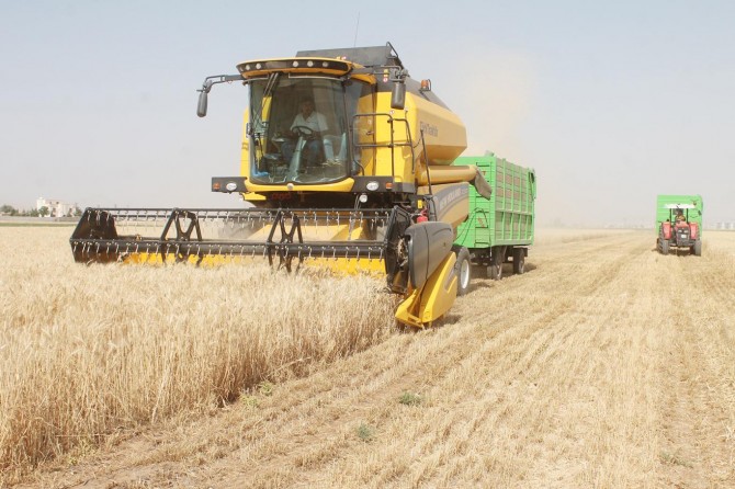 Mardin Ovası’nda hasat zamanı