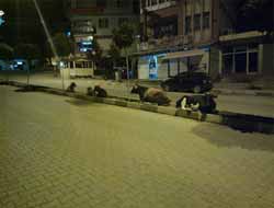 Dikkat İnek Çıkabilir!