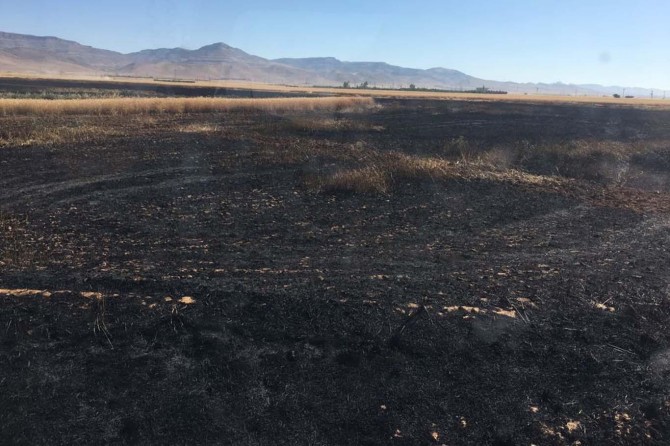 250 dönüm buğday kül oldu