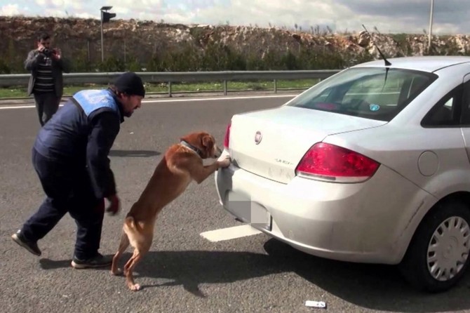 Gaziantep'te ilk 5 ayda 297 kişi uyuşturucudan tutuklandı