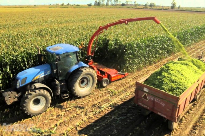 Tarım ÜFE Mayıs ayında arttı