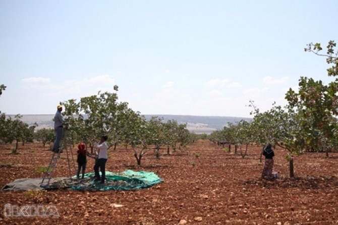 Gaziantep'te inşaat işçileri ve mevsimlik işçilere denetim