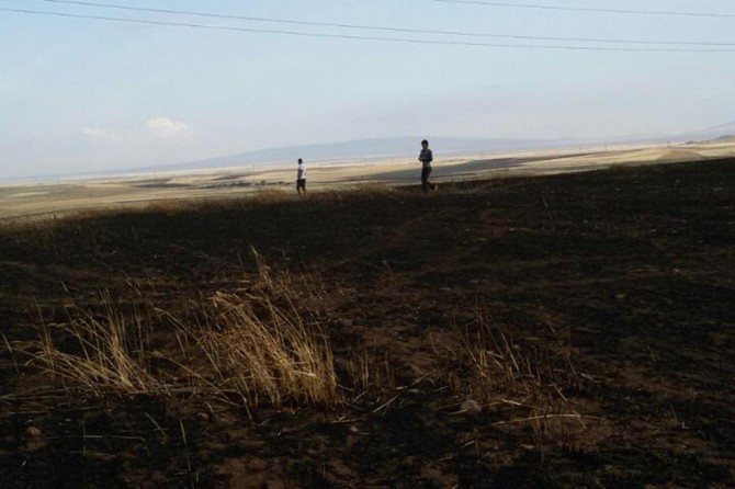 Diyarbakır Ergani'de trafodan çıkan yangın 200 dönüm buğdayı kül etti