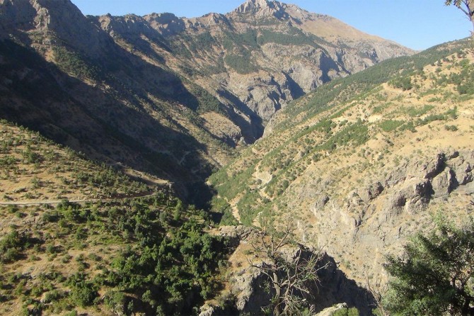 Bitlis’te sokağa çıkma yasağı ilan edildi