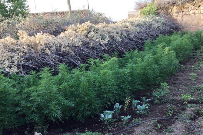 Mardin'de uyuşturucu operasyonu: 3 gözaltı