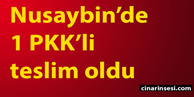 Nusaybin’de 1 PKK’li teslim oldu