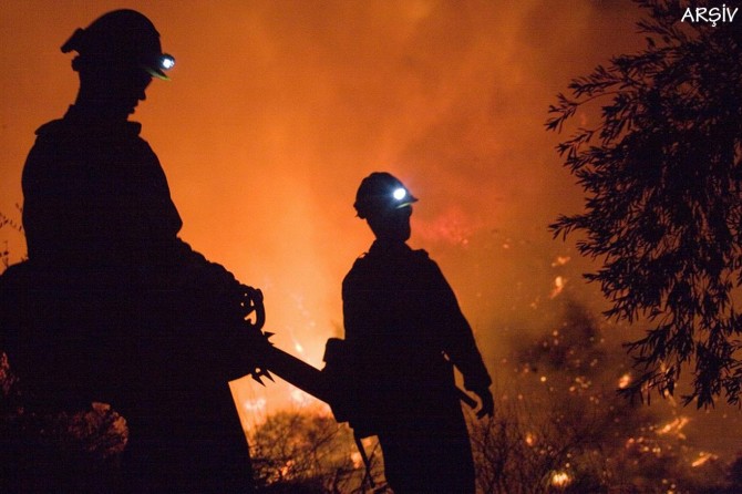 Portekiz'de orman yangını: 39 ölü