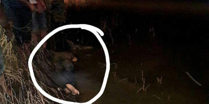 Çınar Göksu barajına serinlemek için giren genç boğuldu