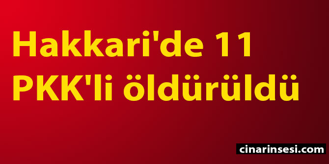 Hakkari Çukurca'da 11 PKK'li öldürüldü