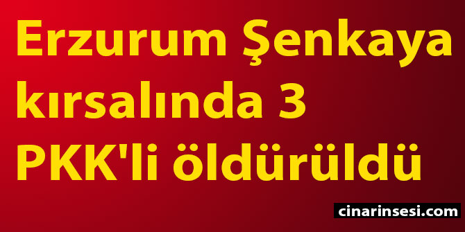 Erzurum Şenkaya kırsalında 3 PKK'li öldürüldü