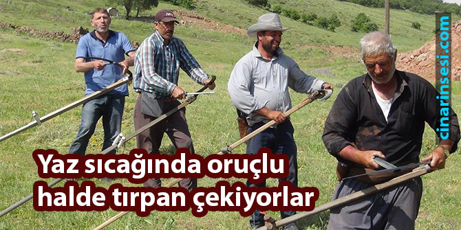 Yaz sıcağında oruçlu halde tırpan çekiyorlar