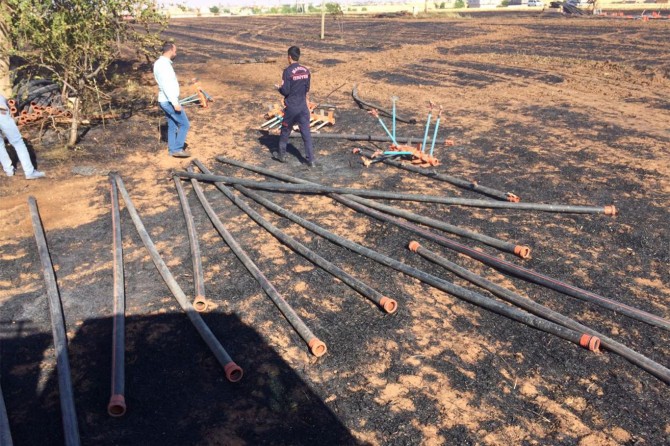 Mardin Kızıltepe'de biçerdöverden çıkan kıvılcım 90 dönüm buğdayı kül etti