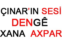 2 Ton Kaçak Akaryakıt Ele Geçirildi