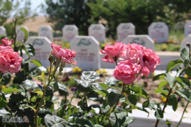 Êşa ku ev 25 sal e nayê jibîrkirin: Qetlîma Sûsa