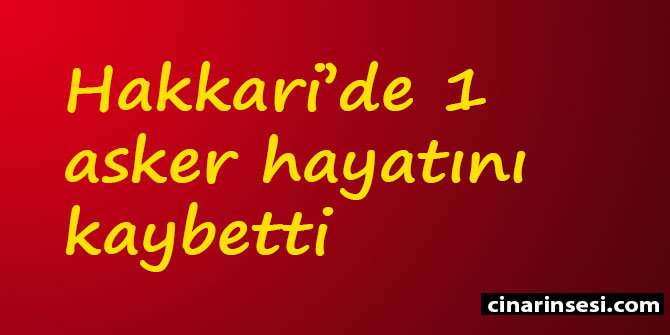 Hakkari Şemdinli'de 1 asker hayatını kaybetti