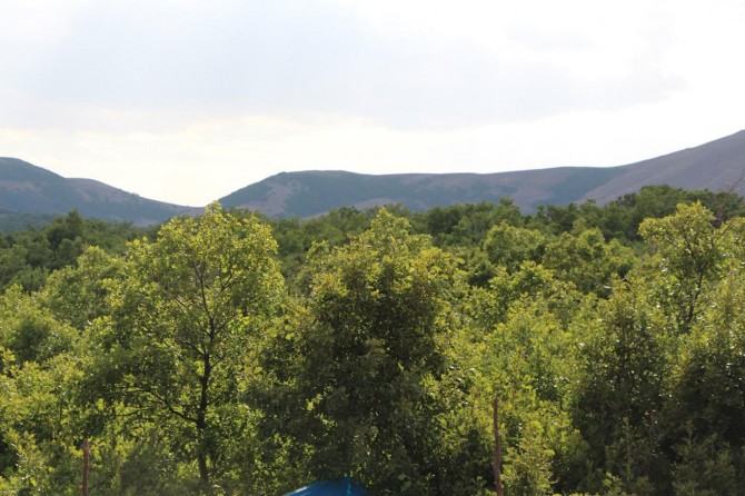 Bingöl Karlıova'da hava harekâtı: 2 PKK'li öldürüldü