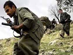 PKK, Dicle'de Özel Harekatçılara Ateş Açtı