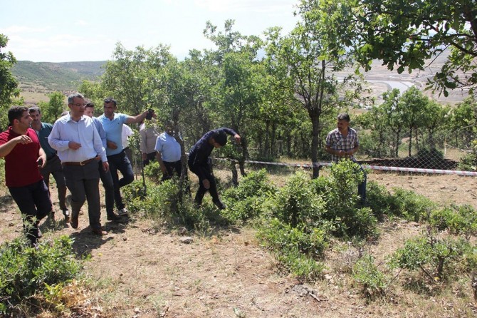 Bingöl Genç'te dev yarıkların oluştuğu köyde inceleme