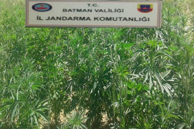 Batman’da uyuşturucu operasyonu