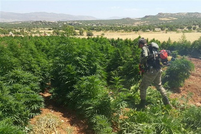 Diyarbakır’da uyuşturucu operasyonu: 10 gözaltı