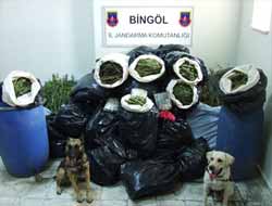 Bingöl'de Uyuşturucu Operasyonu