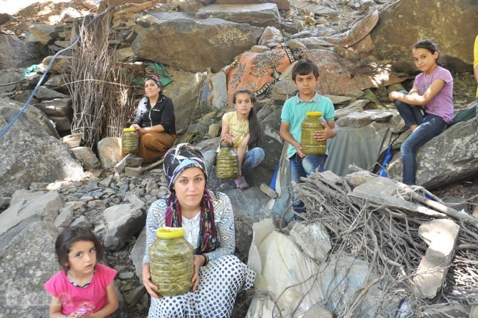 They use caves as cold storage