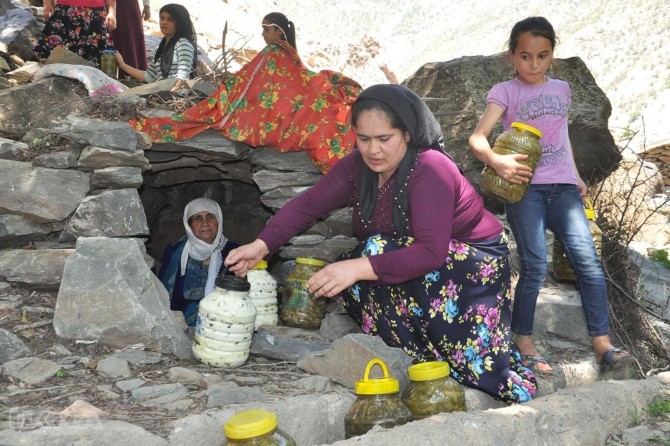 Şikeftan wek sarincê bi kar tînin