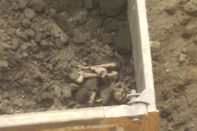 Bitlis'te çevre düzenlemesi yapılan alanda insan kafatası bulundu