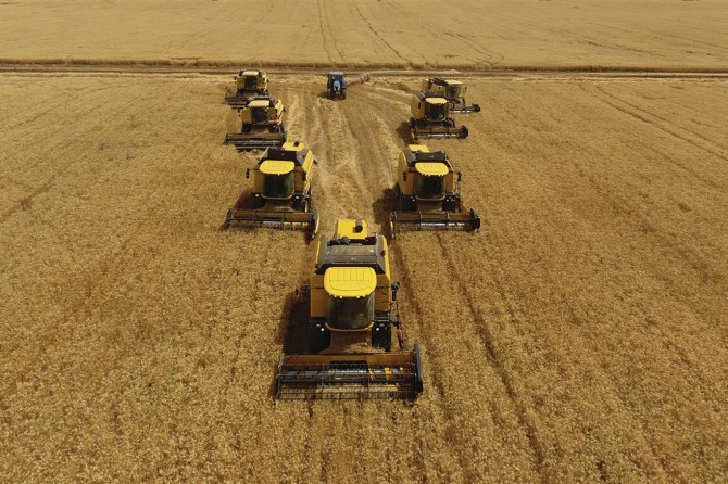 "Buğday kadar önemli bir ürün kendi haline bırakılamaz"
