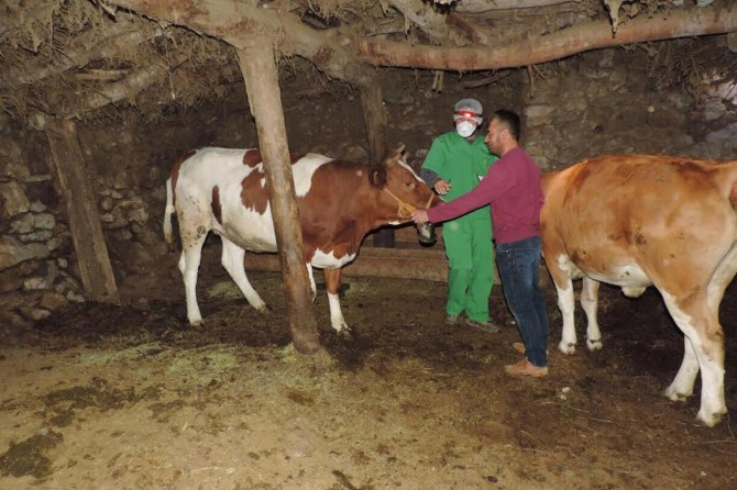 Van'da orman köylülerine destek