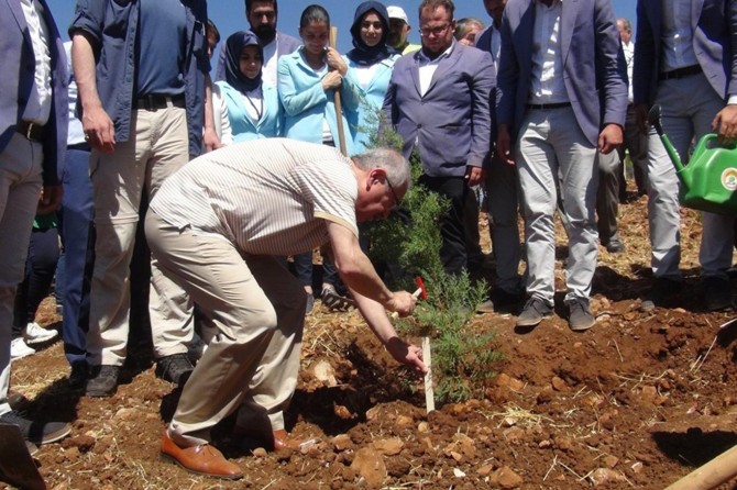 Mardin'de 15 Temmuz şehitleri anısına fidan dikildi