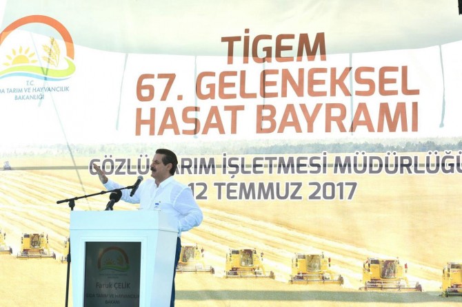 Buğday alım fiyatı belirlendi