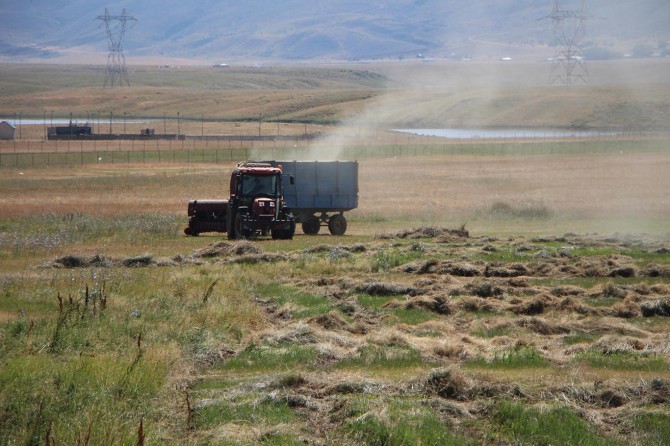 Bingöl Karlıova'da çiftçilerin ot biçme çalışmaları devam ediyor