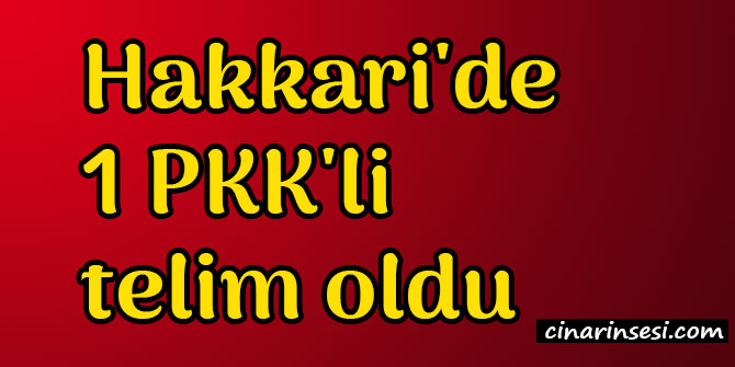 Hakkari'de 1 PKK'li telim oldu