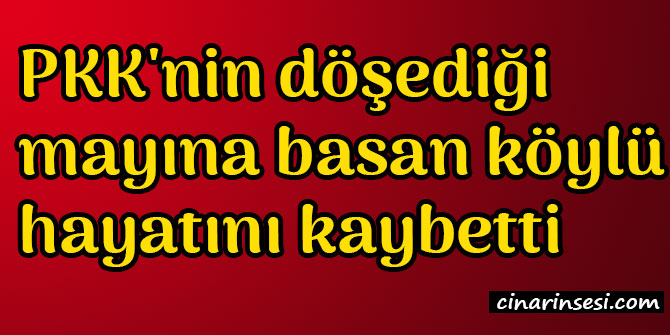 ​Hakkari Şemdinli'de PKK'nin döşediği mayına basan köylü hayatını kaybetti