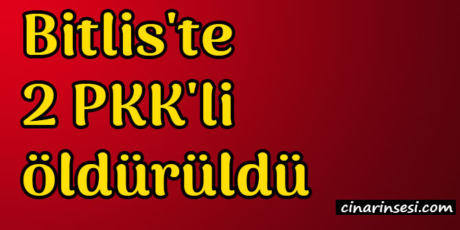Bitlis'in Kayadağ (Dilek) köyü kırsalında 2 PKK'li öldürüldü