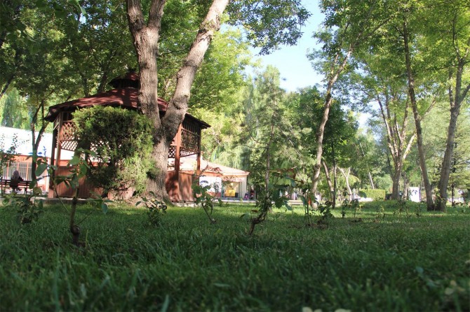 Piknik yaparken kenelere dikkat!