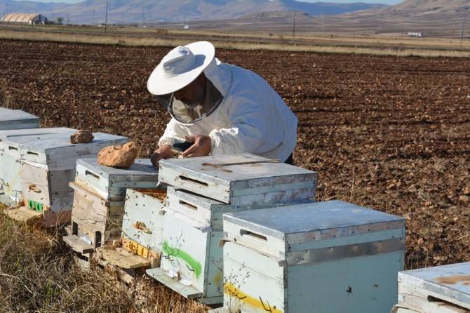Batman’da arı yetiştiricilerine destek duyurusu