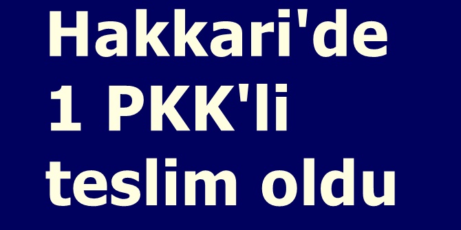 Hakkari'de 1 PKK'li teslim oldu