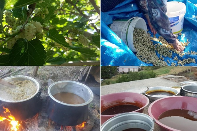 Çêkirina dimsa tûyan a ku kahniya şifayê ye