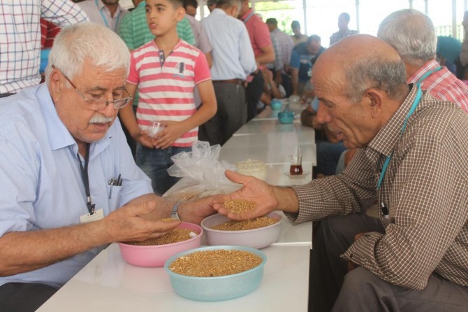 Çiftçilerden TMO'ya buğday fiyatı tepkisi